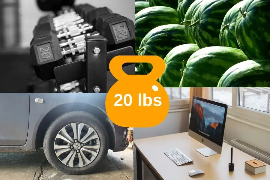 12 Common Items That Weigh About 20 Pounds