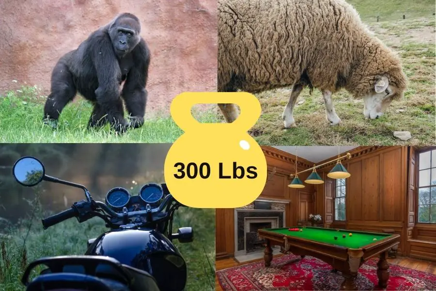 10 Items That Weigh 300 Pounds 10-items-that-weigh-300-pounds