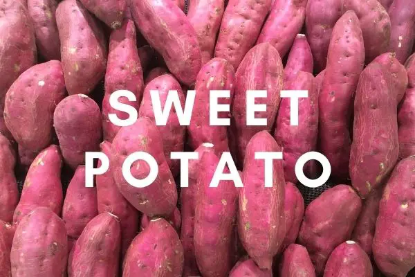 Sweet Potato Pictures