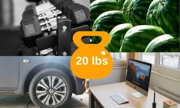 Common Items That Weigh About 20 Pounds