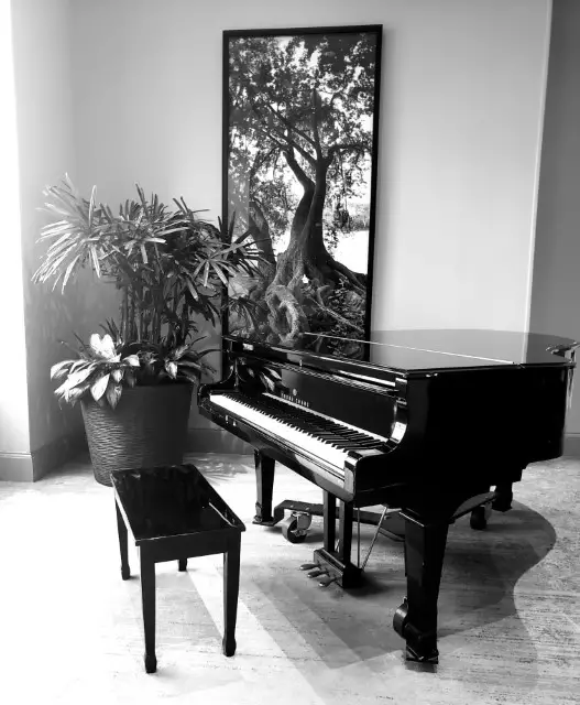 Grand Piano Pictures