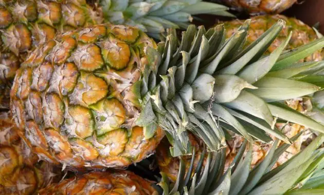 Pineapple Weighing 1 Kg Photos