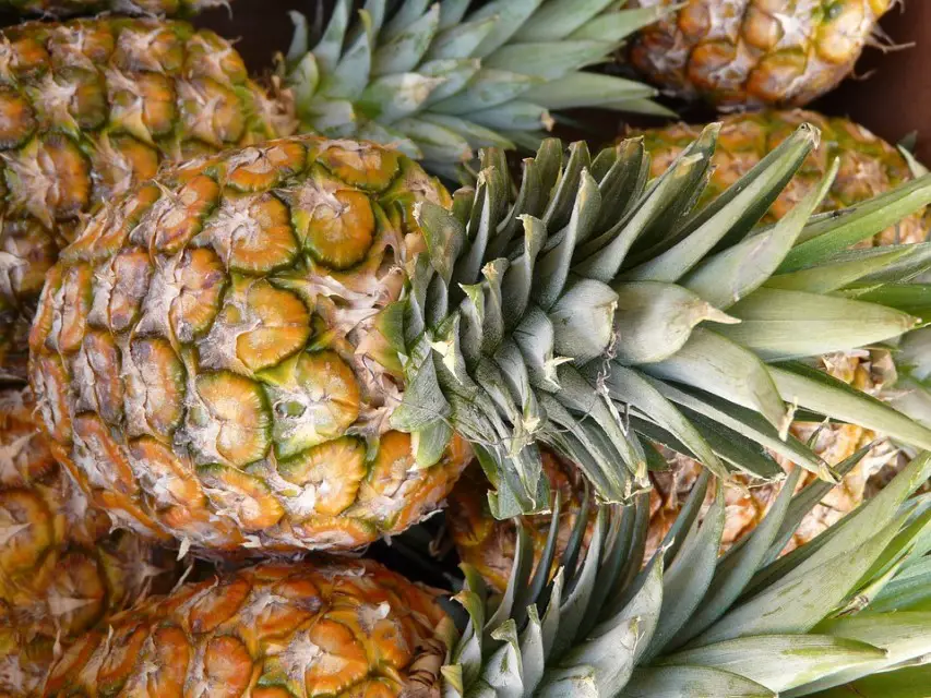 Pineapple Weighing 1 Kg Photos