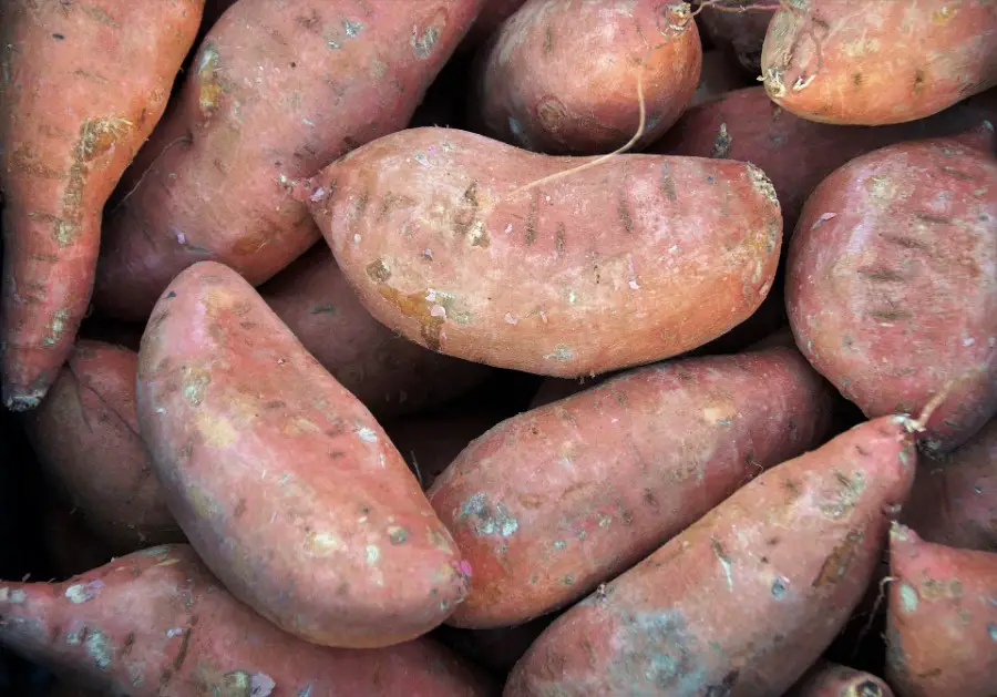 Sweet Potatoes Weighing 1 kg