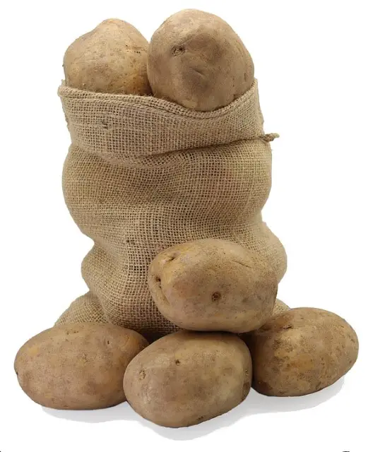 40 Pound of Potatoes