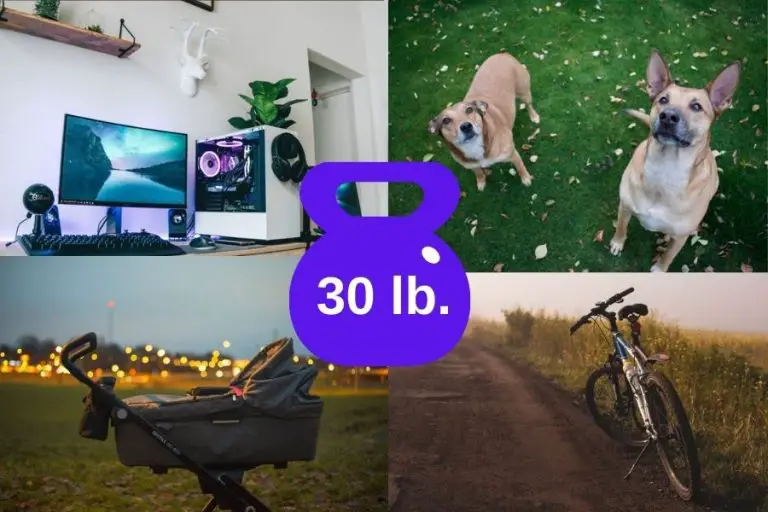 10-everyday-items-that-weigh-30-pounds