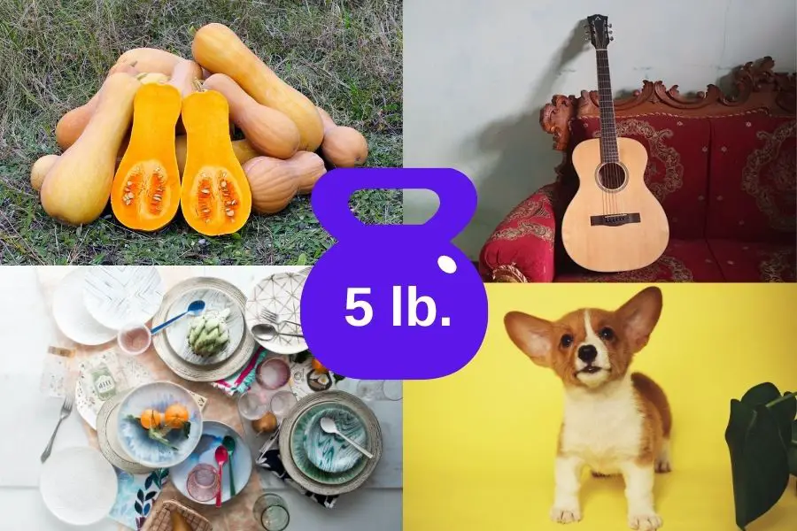 12 Common Items That Weigh 5 Pounds