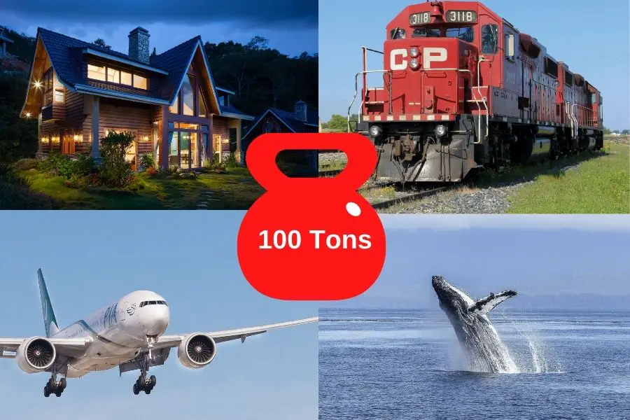 9 Things That Weigh About 100 Tons