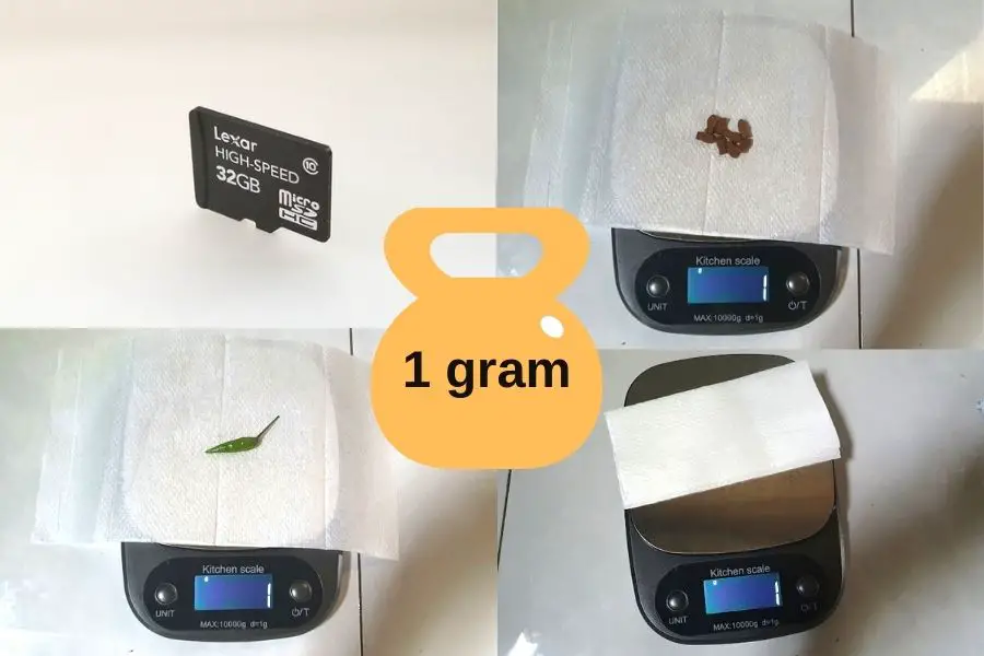 12 Common Things That Weigh 1 Gram