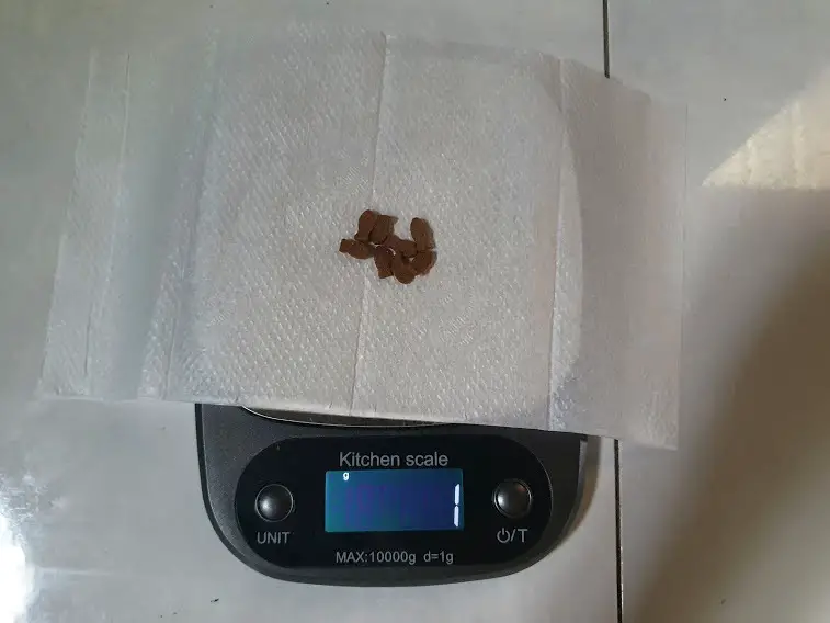 cat food weigh 1 grams