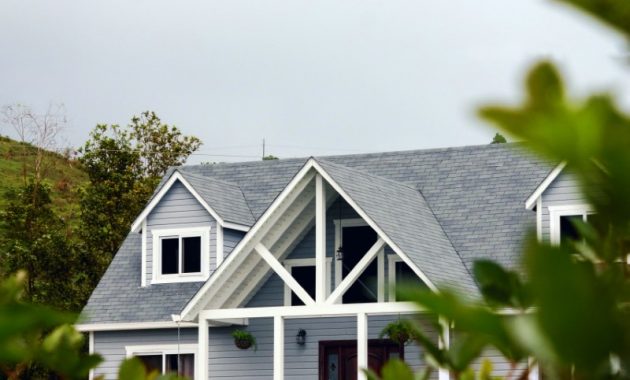 Roof Shingles Pictures