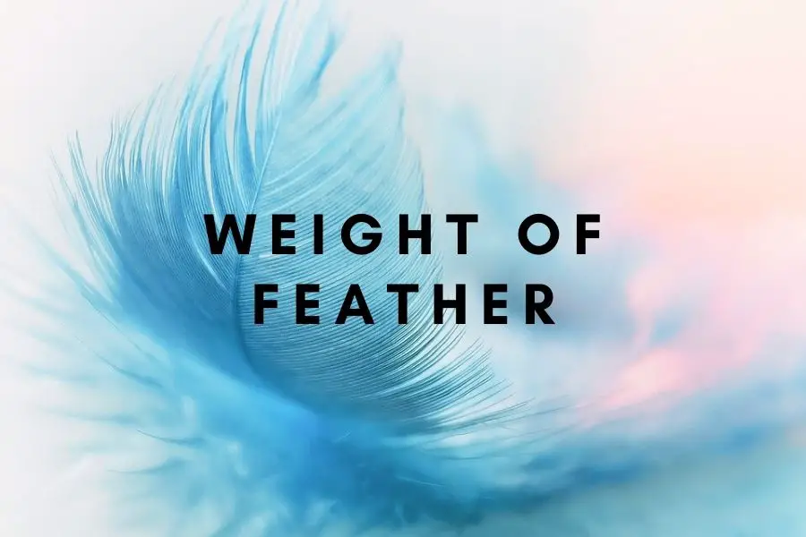 Weight of Feather (Plus Comparison)