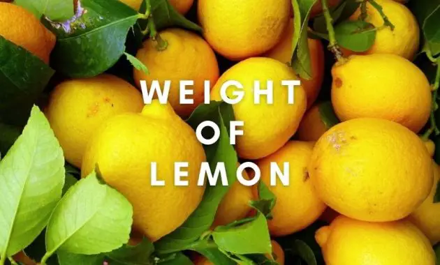 Average Weight of Lemon