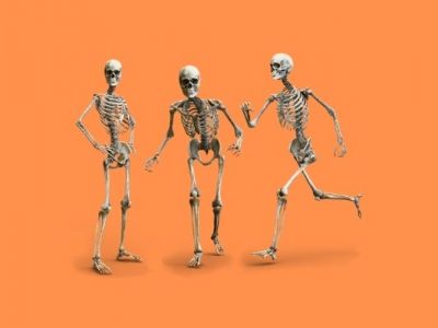 Human Skeleton Pictures