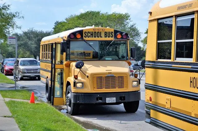 School Bus Picture