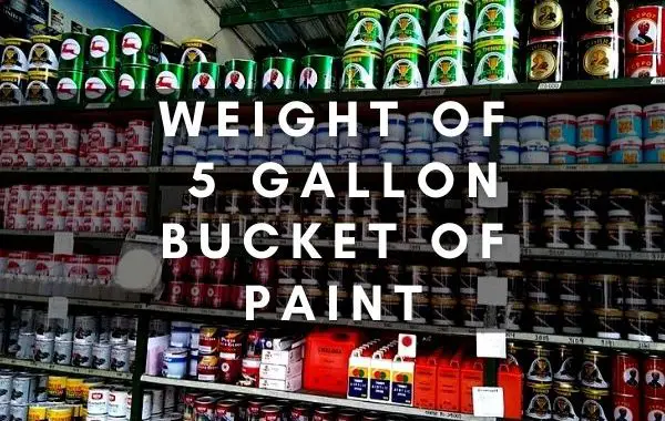 Weight of 5 Gallon of paint