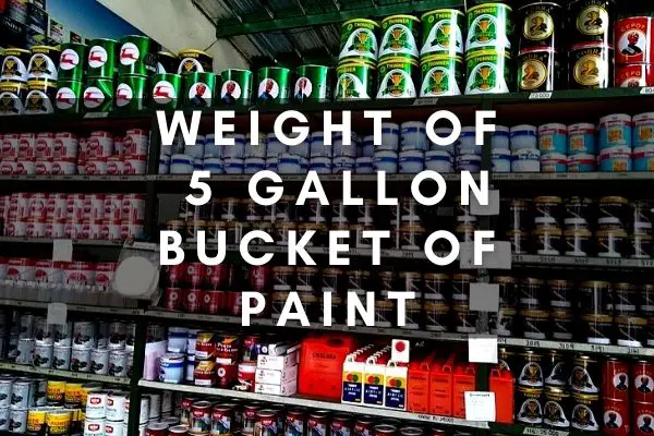 how-much-does-a-5-gallon-bucket-of-paint-weigh