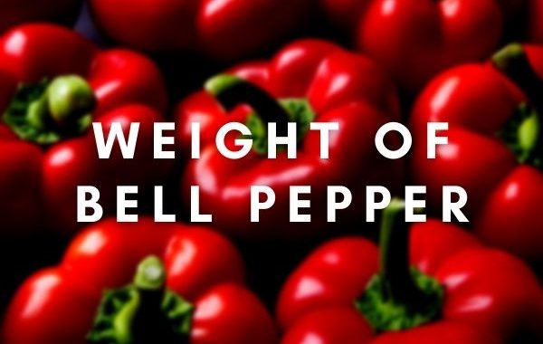 Weight of Bell Pepper