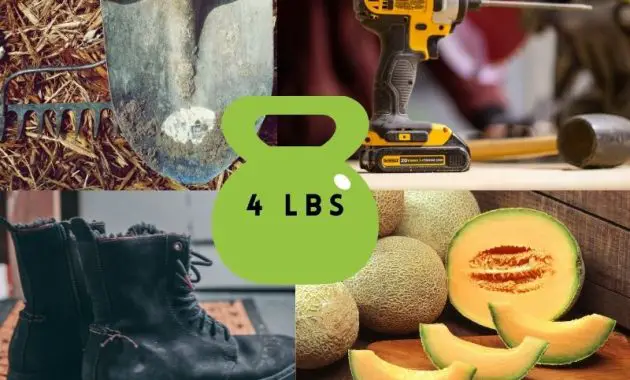 Common Items That Weigh 4 Pounds