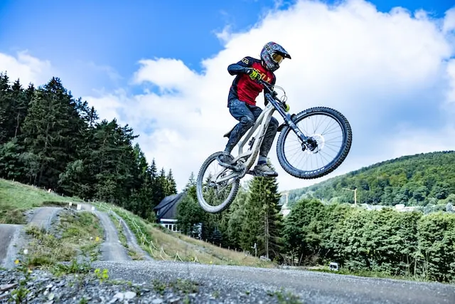 Downhill Mountain Bike Picture